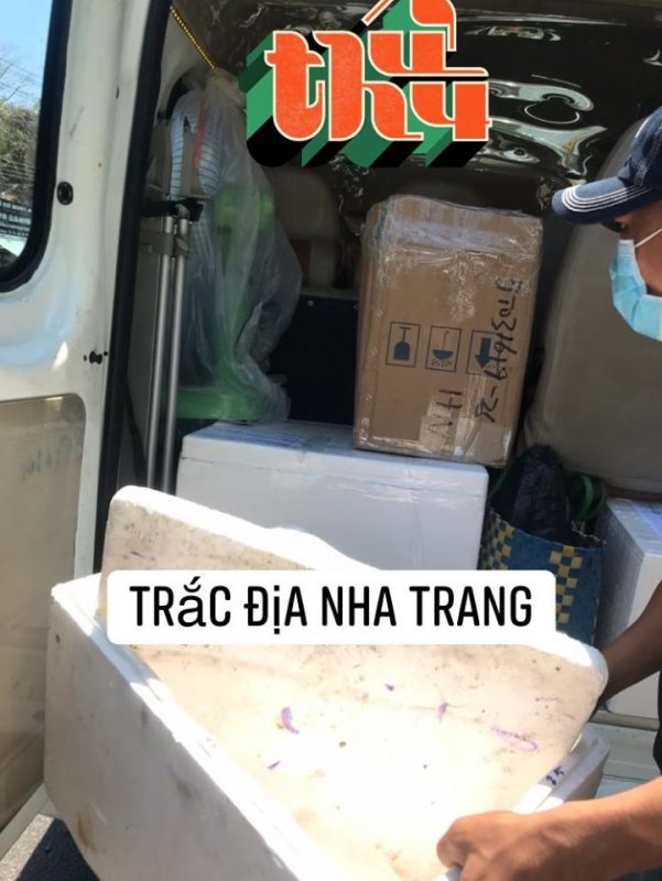 Trắc địa Nha Trang